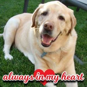 Meet your Posher, Craig